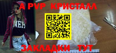 шишки Гай