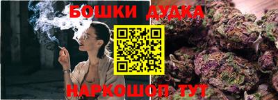 шишки Гай