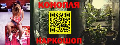 шишки Гай