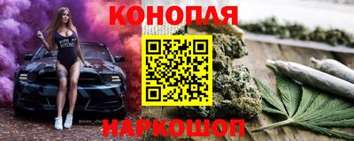 шишки Гай