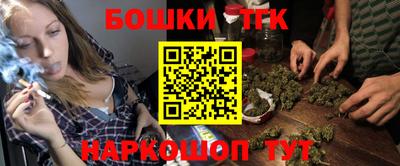шишки Гай