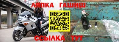 шишки Гай
