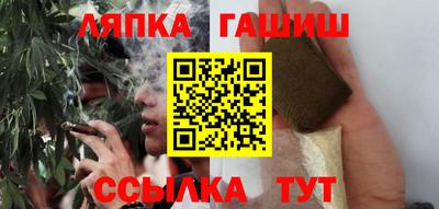 шишки Гай