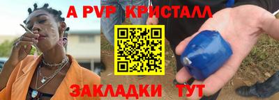 шишки Гай