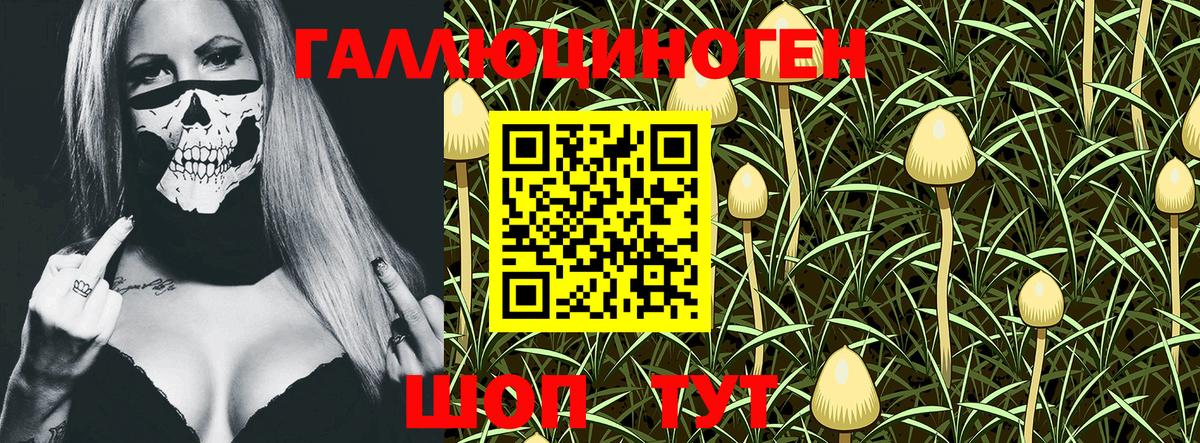 Псилоцибиновые грибы GOLDEN TEACHER Наро-Фоминск